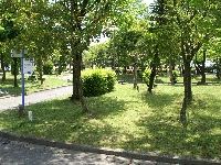 ガーデンふ頭臨港緑園